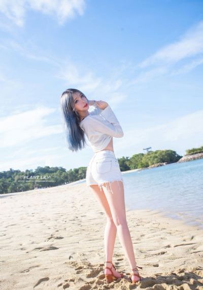 大白鲨4国语版免费观看_BD韩语完整在线观看